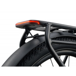 Rower elektryczny GIANT Explore E+ 2 Alpine Green