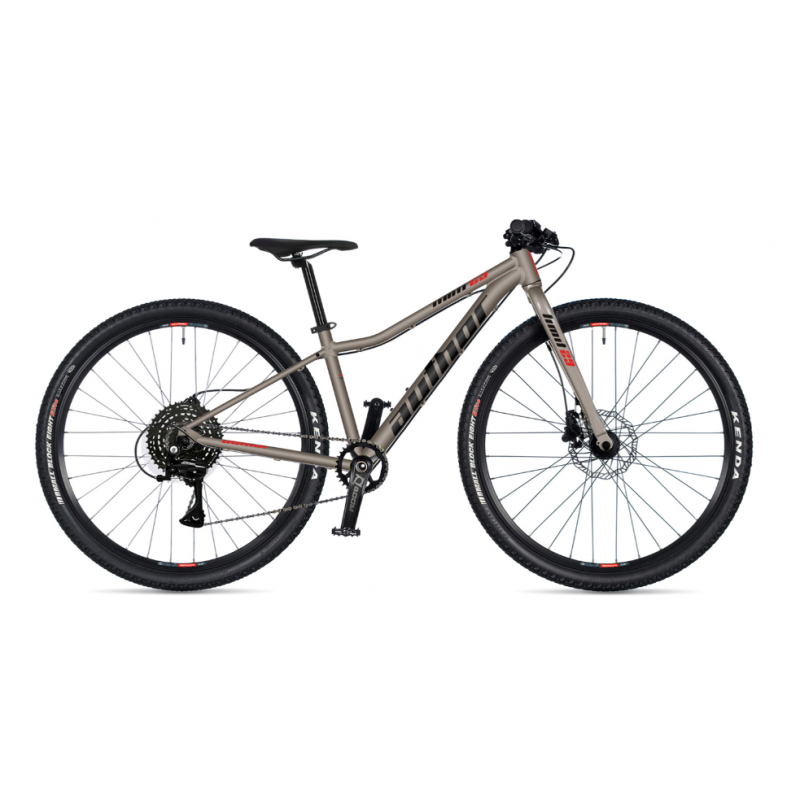 Author Limit 29 Disc Titanium matte 2026