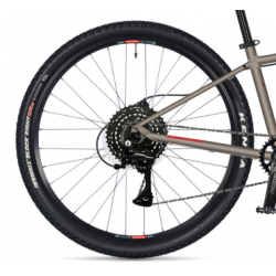 Author Limit 29 Disc Titanium matte 2026