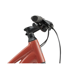 Rower crossowy LIV Rove 4 STG Terra Roza 2025