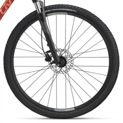 Rower crossowy LIV Rove 4 STG Terra Roza 2025