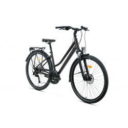 Rower trekkingowy Kands Verso V2 brązowy mat