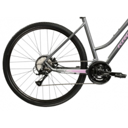 Rower crossowy Evado 4.0 szary/różowy