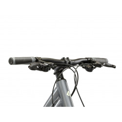 Rower crossowy Kross Evado 3.0 szary/zielony
