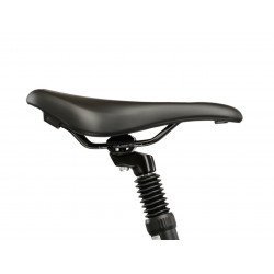 Rower crossowy Kross Evado 3.0 szary/zielony