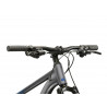 Rower górski Kross Hexagon X200 29 szary/niebieski